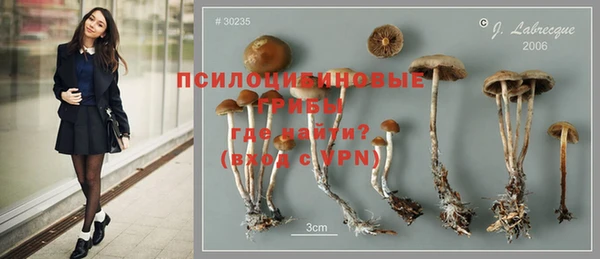 ешки Алзамай