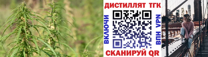 ТГК концентрат хочу Кукмор