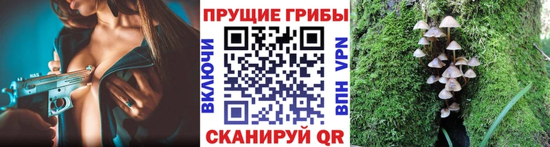 Псилоцибиновые грибы прущие грибы  Кукмор 